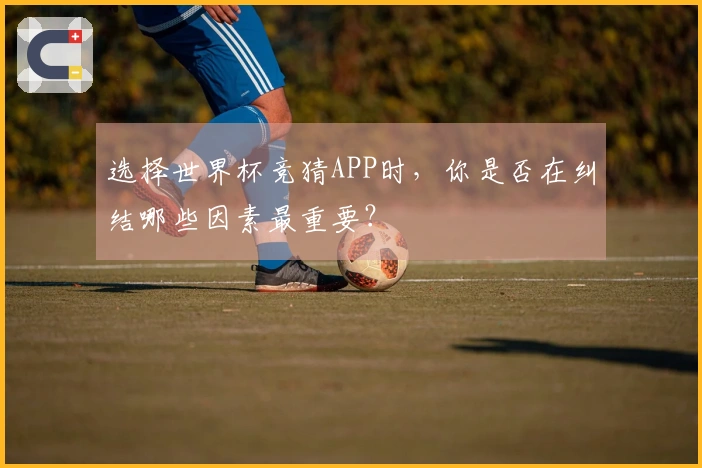 选择世界杯竞猜APP时，你是否在纠结哪些因素最重要？