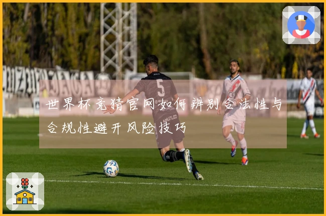 世界杯竞猜官网如何辨别合法性与合规性避开风险技巧