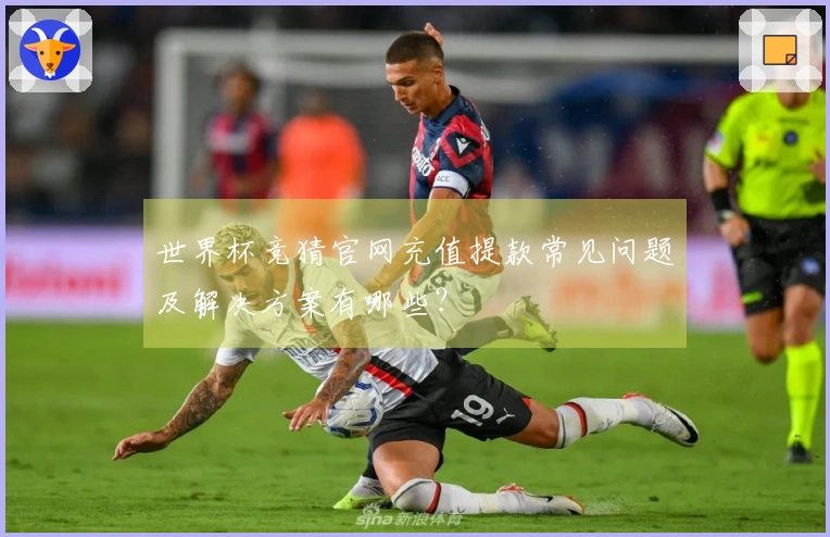 世界杯竞猜官网充值提款常见问题及解决方案有哪些？